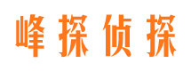 夏河市私家侦探